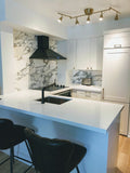 A stunning transformation of downtown townhouse kitchen. Custom paneling a fridge to hide it and get a built-in is look is a great way go to for a small open concept condo kitchen.